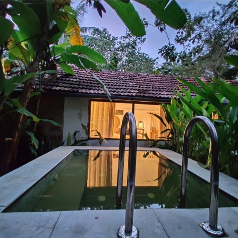 Bed and Breakfast Sunsets And Palm Trees Alappuzha Esterno foto